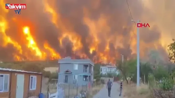 Tekirdağ'da orman yangını!