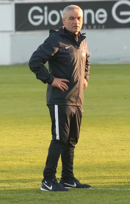 Rıza Çalımbay kanunları