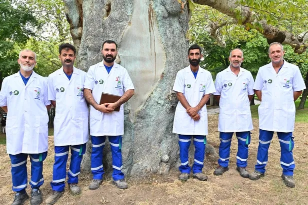 asirlik-cinarlar-cinar-hekimleri-ile-guvende-1660550936018.jpeg Asırlık çınarlar, ‘Çınar hekimleri’ ile güvende-3