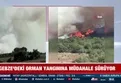 Kocaeli Gebze'de ormanlık alanda yangın!