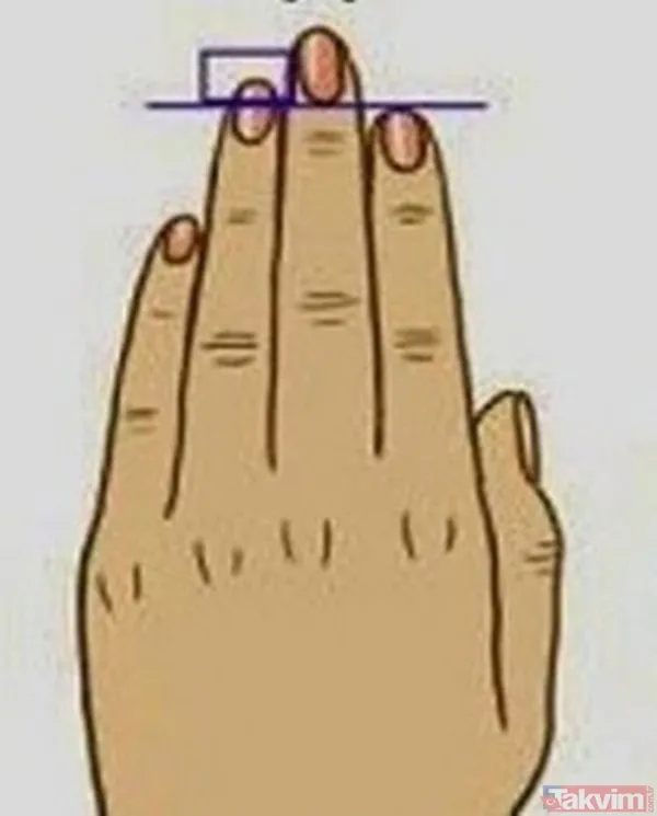 Yüzük Parmağı İşaret Parmağından Daha Uzun Olan İnsanlar Çoğunlukla Cazibe Sahibi Ve Çekici İnsanlardır. Çoğunlukla Problem Çözme Yetenekleri Yüksek Olur. Çoğu...