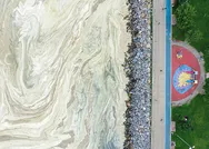 Marmara Denizi deniz salyası işgalinde! İşte müsilajdan kurtulmanın 4 maddelik reçetesi!