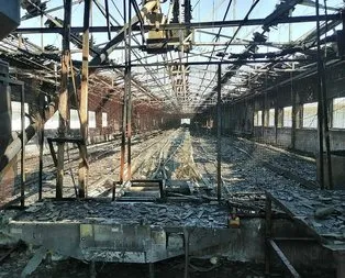 Bursa’da çiftlikte yangın: 4 bin tavuk telef oldu