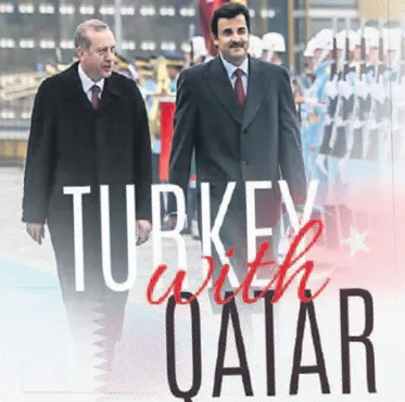 Teşekkürler Türkiye-1
