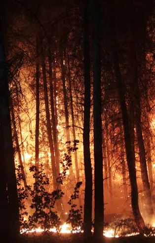 Bu kadarına da pes artık! Yangın fırsatçıları yüzde 630 zam yaptı! Bakanlık harekete geçti