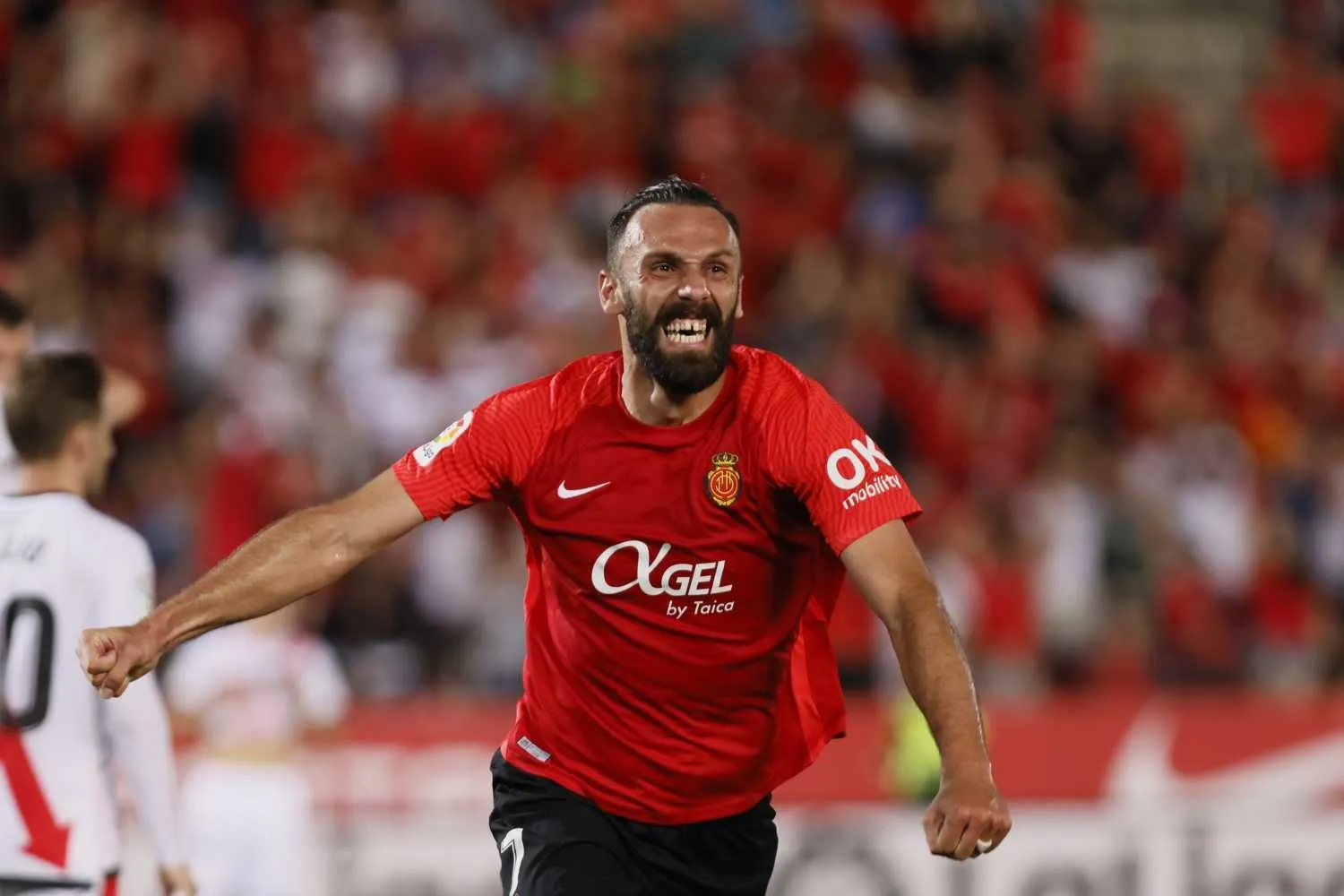 Fenerbahçe eski yıldızına yeniden forma giydirecek! - 26