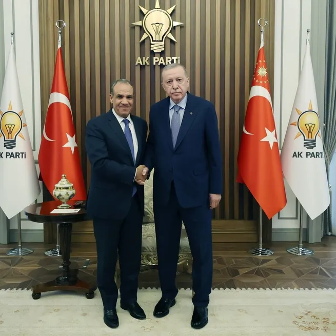 Başkan Erdoğan Mısır Dışişleri Bakanı’nı kabul etti