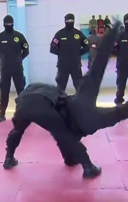 Güvenlik güçlerimiz “Oğuz güreşi” öğreniyor