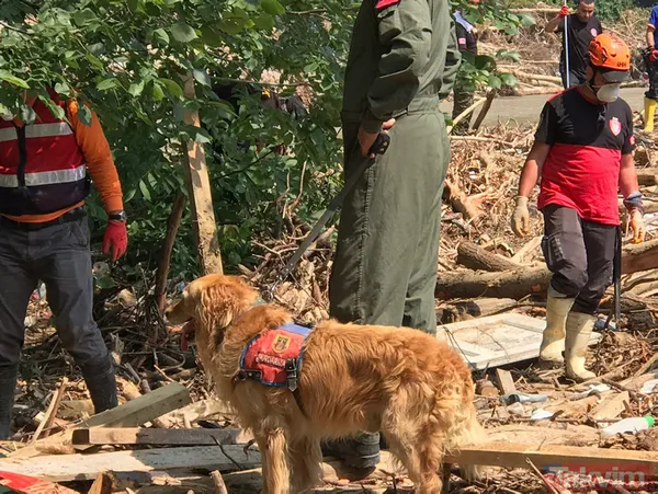 Düzce'de yaralar sarılıyor! Devletin tüm imkanları seferber edildi - 11