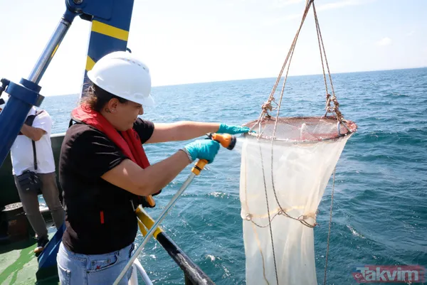 TÜBİTAK gemisi Marmara'ya açıldı! Bilim insanları raporları: Sonuçlar korkutucu - 10