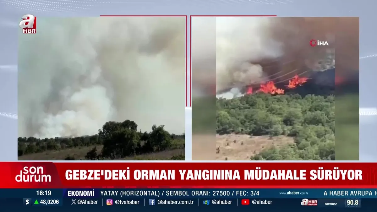 Kocaeli Gebze'de ormanlık alanda yangın!