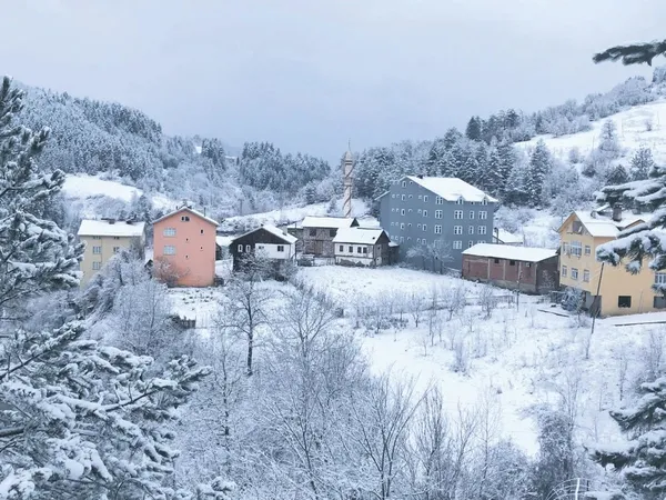 dozu-dumana-kattik-turkiye-4-gunde-1-milyon-koronavirus-asisi-yapti-dunyayi-solladi-1610920399675.jpeg 'Dozu' dumana kattık! Türkiye 4 günde 1 milyon koronavirüs aşısı yaptı, dünyayı solladı-4