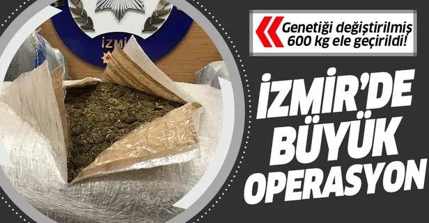 İzmir’de uyuşturucu operasyonu! 600 kilogram skunk ele geçirildi