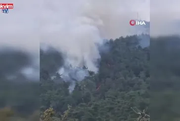 Milas’ta orman yangını!