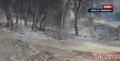 Antalya Manavgat’ta yangın felaketi! A Haber olay yerinde: Bölgede nefes almakta güçlük çekiyoruz