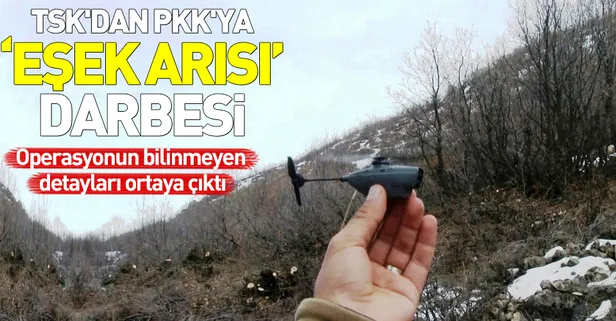 TSK'dan PKK'ya 'eşek arısı' darbesi