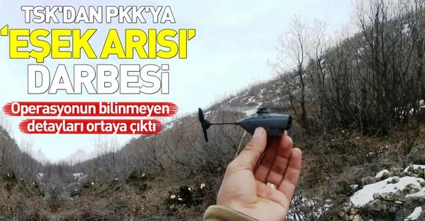 TSK’dan PKK’ya ’eşek arısı’ darbesi