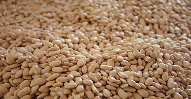 Kemiklerin doktoru kuru fasulye!