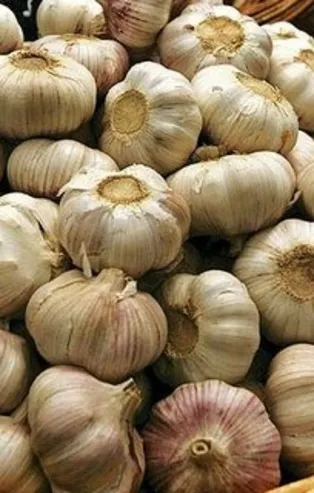 Her gün 6 diş sarımsağı pişirip yerseniz...