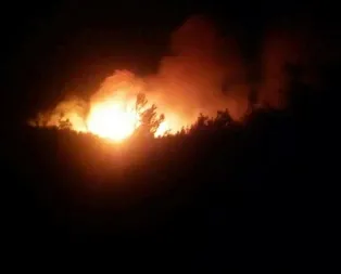 Tarihi Gelibolu Yarımadasında korkutan orman yangını