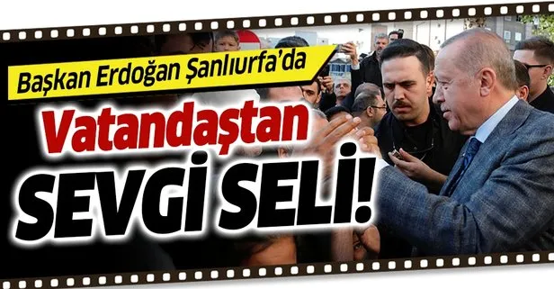 Başkan Erdoğan'a Şanlıurfa'da sevgi seli!