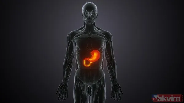 Uzmanlar mikro yürüyüşleri öneriyor: Sadece 30 saniye sürüyor, ama etkisi büyük! - 6