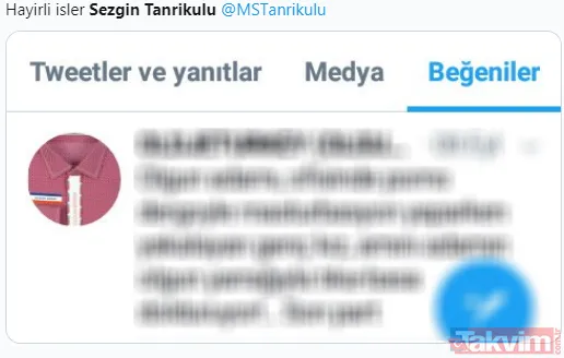CHP'li Sezgin Tanrıkulu porno videosunu beğendi! Sosyal medya yıkıldı... - 2