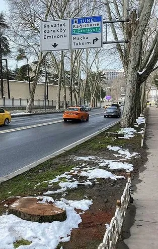 Aradığınız çevre derneklerine şu anda ulaşılamıyor! Çırağan'daki çınar katliamına karşı suspus oldular