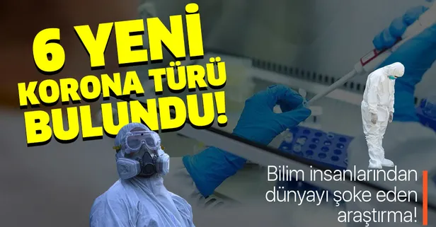Son dakika: Bilim insanları açıkladı! 6 yeni corona virüs türü ortaya çıktı!