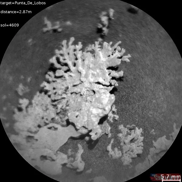 Kızıl Gezegen’de dev keşif: Yaşamın ipuçları ortaya çıktı! Meğer bulunan su izleri... - 3