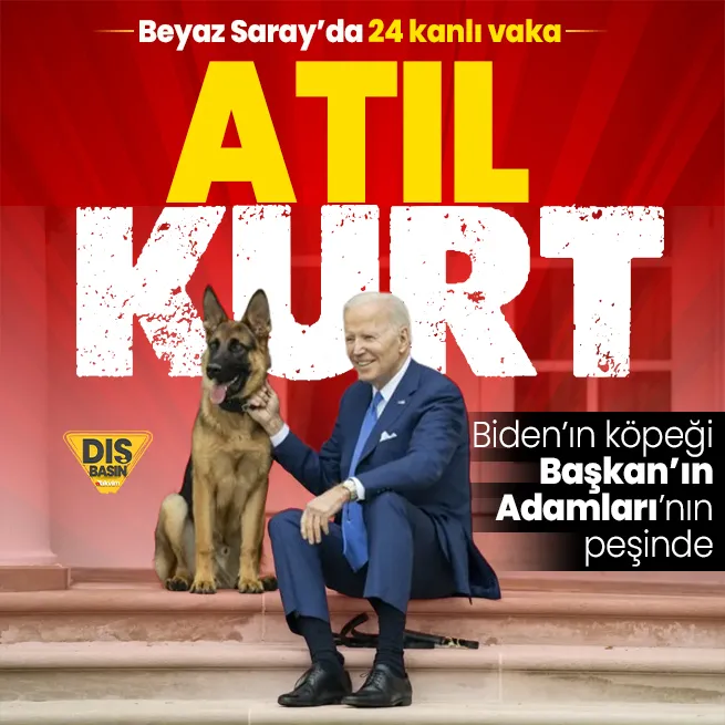 Beyaz Saray’da Gizli Servis ajanları Biden’ın köpeğinin hedefinde! Commander 24 kez ısırdı: Başkan’ın Adamları hastanelerden çıkamıyor