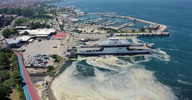 TBMM Müsilaj Sorununu Araştırma Komisyonu Yalova'da inceleme yaptı
