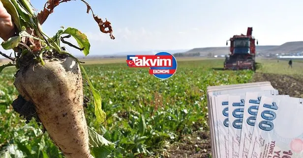 Pancar paraları ne zaman yatacak?
