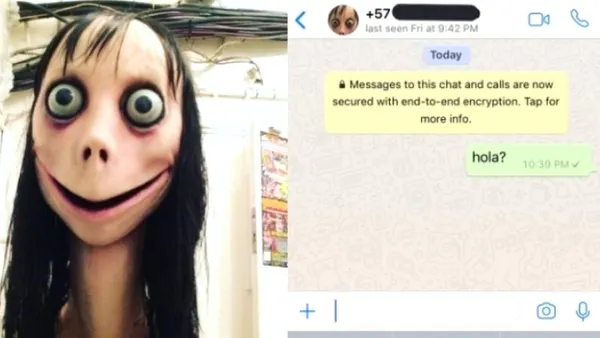 Mavi Balinadan sonra şimdi de Momo! Whatsapp üzerinden yayılan yeni sanal şiddet oyunu Momo nedir?-1