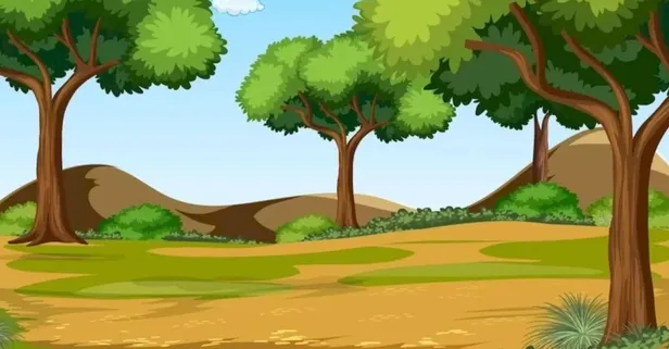 IQ'nuzu ölçecek bulmaca geldi! 30 saniye dolmadan tavşanı bulabilir misiniz?