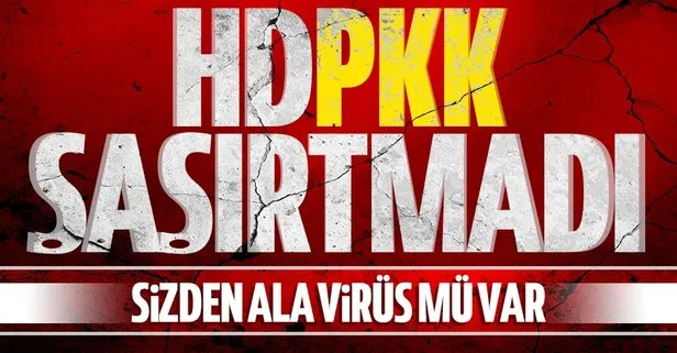 HDP yine şaşırmadı! Başkan Erdoğan’a...