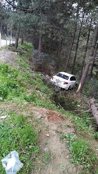 Maltepe’de otomobil ormanlık alana uçtu: 2 yaralı-1