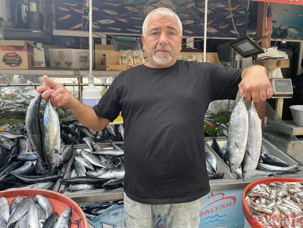 Denizden palamut fışkırdı! Tanesi 20 liraya düştü! Vatandaşın ve esnafın yüzü gülüyor - 4