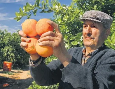 İhracatın yıldızı yaş sebze-meyve