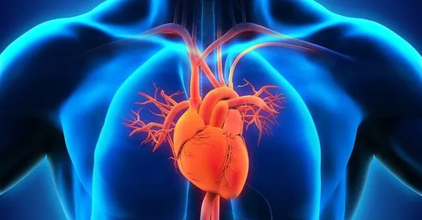 Kalbin sağlığını tehdit eden 5 faktör! İşte kalp sağlığını korumanın yolları
