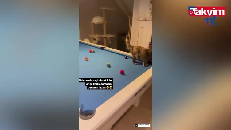 Pınar Altuğ bilardo oynadığı anları paylaştı: ‘’Bizim evde sayı alman için önce kedi aşamasını geçmen lazım!’’