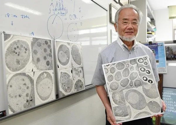 Nobel Ödüllü Japon bilim insanı: Oruç vücudun yenilenmesini sağlıyor-2