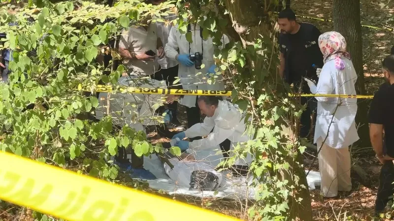 Sarıyer'de ormanlık alanda başına poşet geçirilmiş ceset (DHA)
