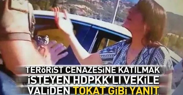 HDP'li vekile başkandan tokat gibi cevap