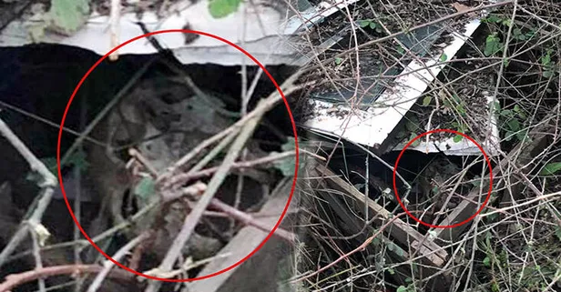 Çoban, dere kenarında insan kafatası buldu!