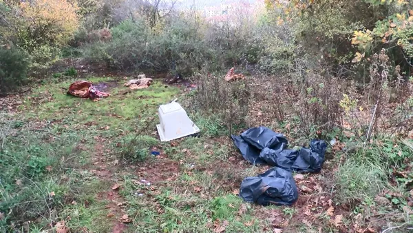 istanbulda-dehset-goruntu-yemek-yerken-tekrar-dusunun-sariyerde-yol-kenarinda-kesilmis-at-parcalari-bulundu-1637658827462.jpg İstanbul'da dehşet görüntü! Yemek yerken tekrar düşünün: Sarıyer'de yol kenarında kesilmiş at parçaları bulundu-6