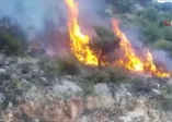 Son dakika... Antalya'da korkutan yangın!