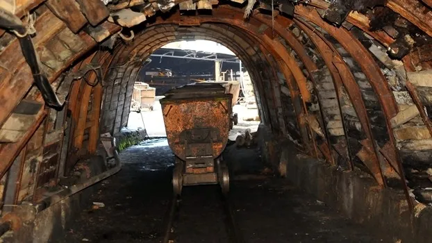 İnsanlığın geleceği Toryum'da