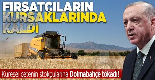 Tahıl krizi İstanbul’da çözüldü! Buğday fiyatlarında sert düşüş: Fırsatçıların elinde patladı