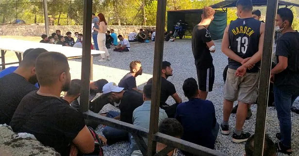 Muğla’da ormanda 55 kaçak göçmen yakalandı